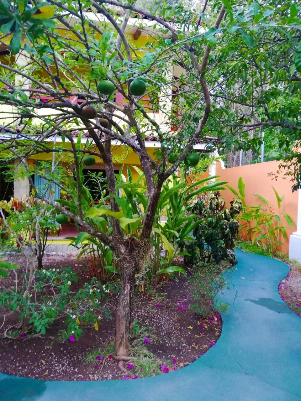 Villas Verdes Samara Ngoại thất bức ảnh