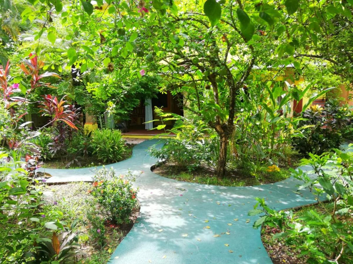 Villas Verdes Samara Ngoại thất bức ảnh